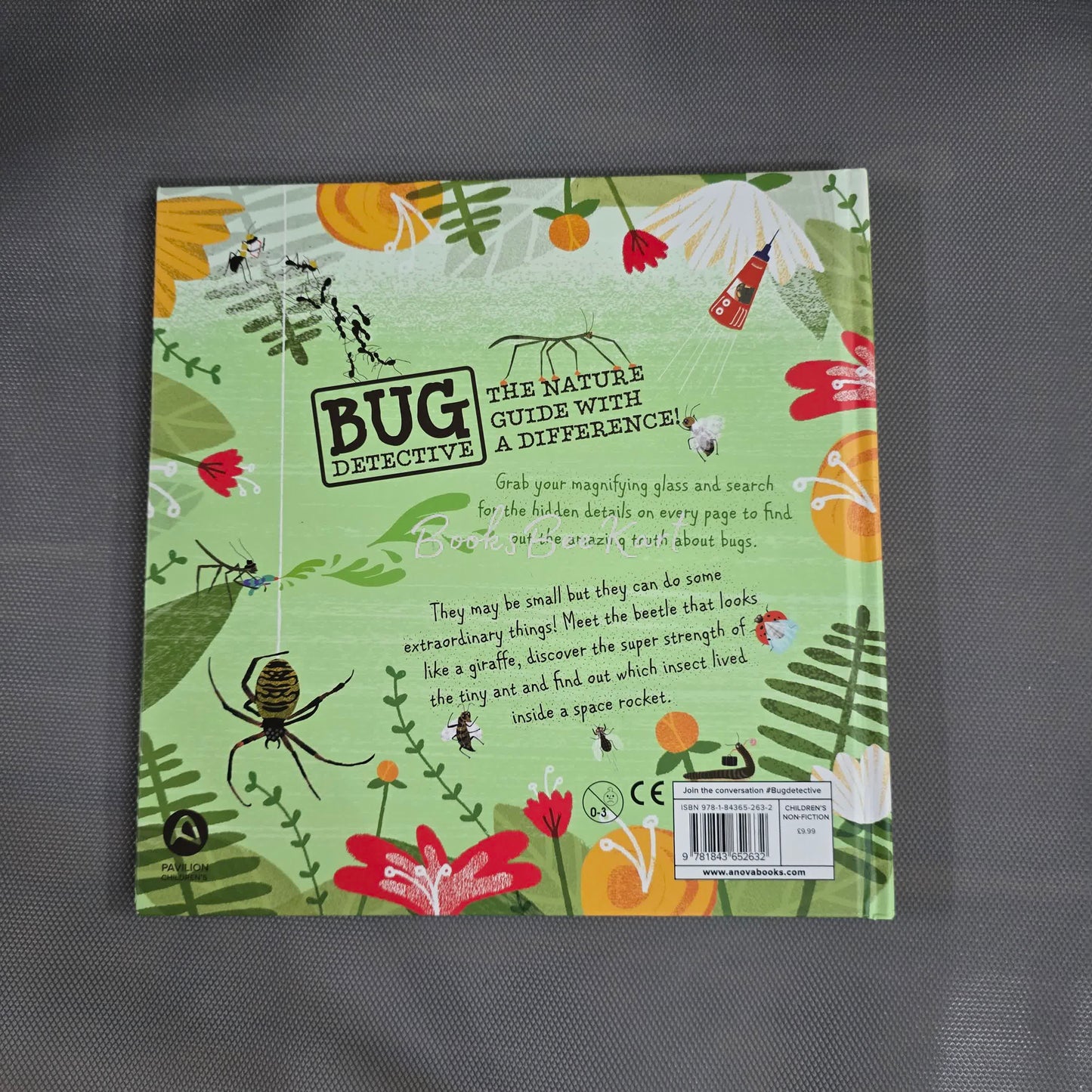 Bug Detective