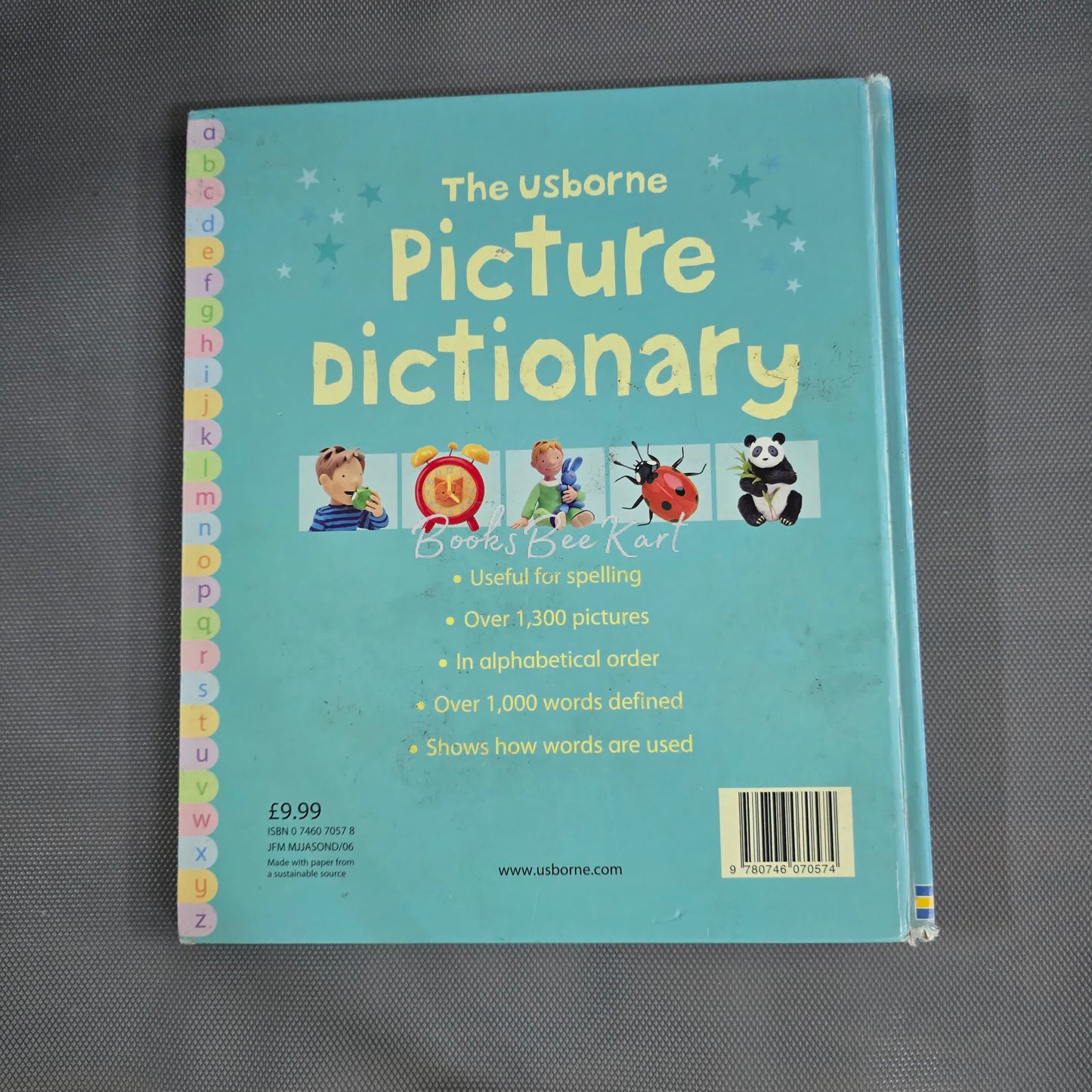 Usborne Picture Dictionary