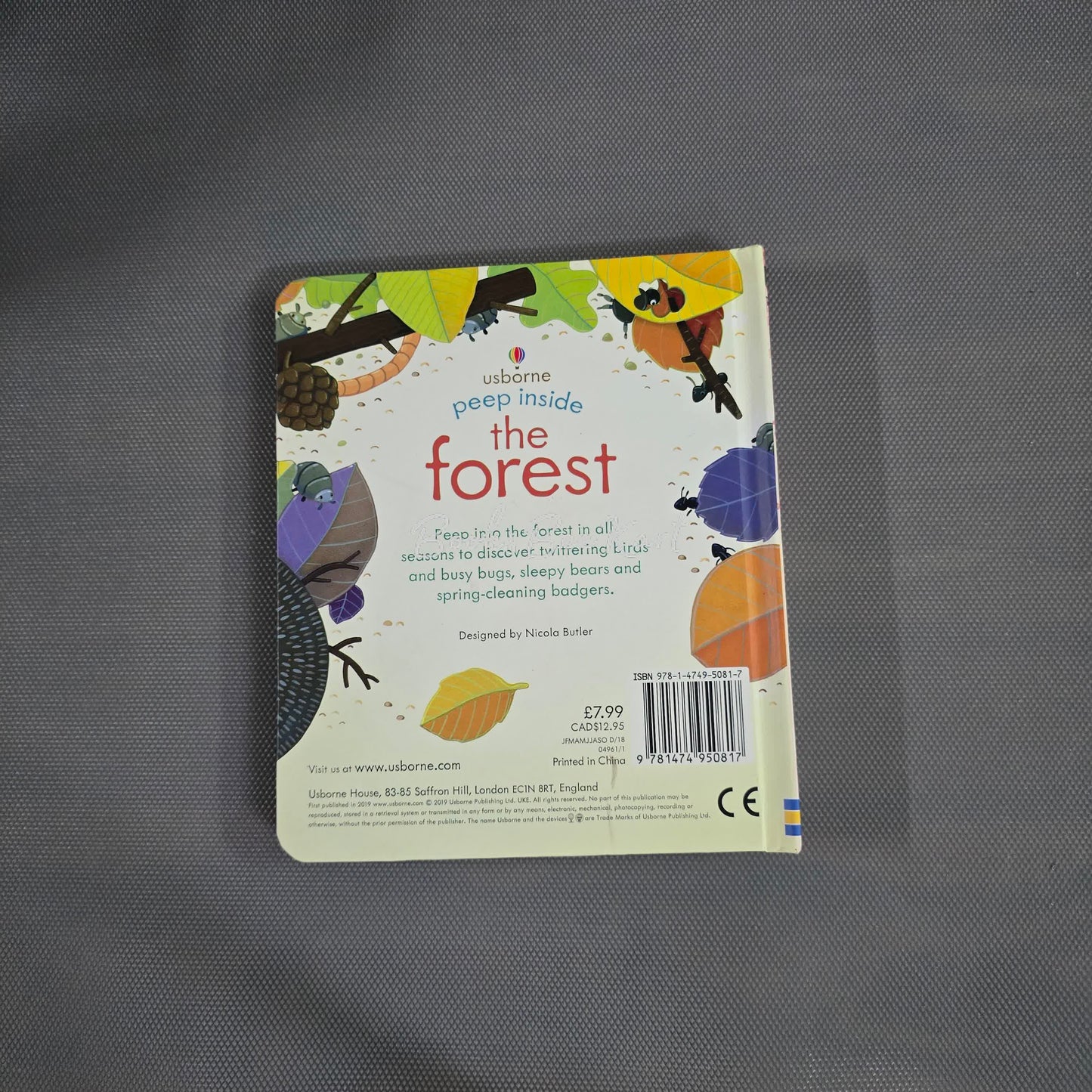 Usborne Peep Inside the Forest