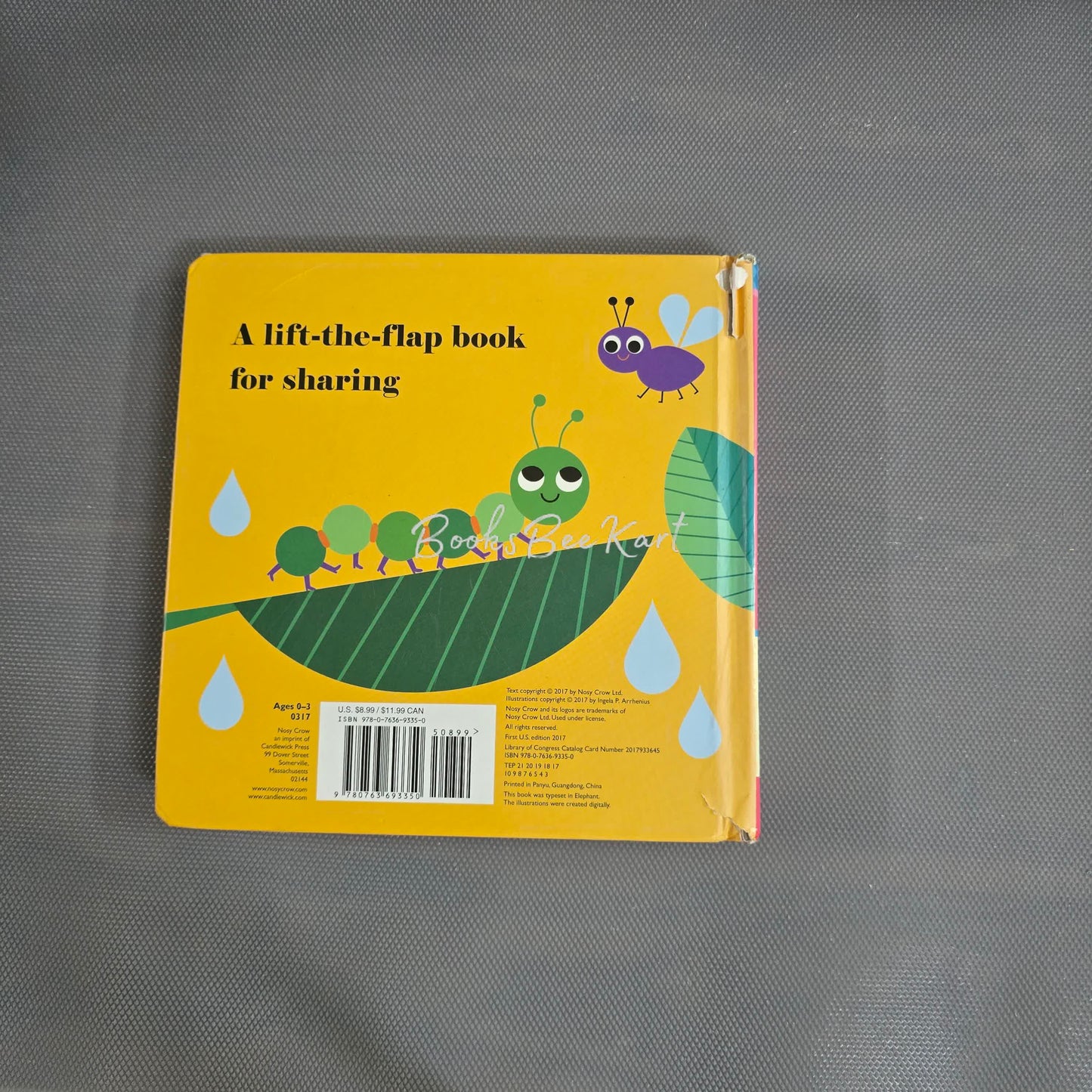 Where's the Ladybug? Flap Book