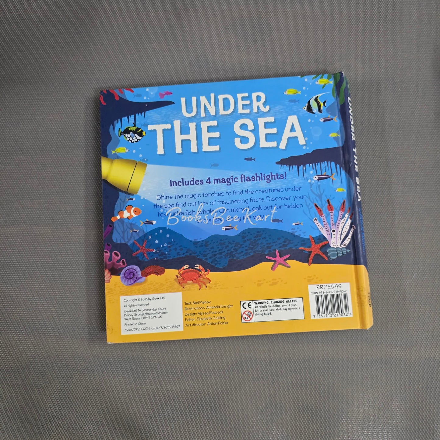 Under the Sea - Torch Light Book