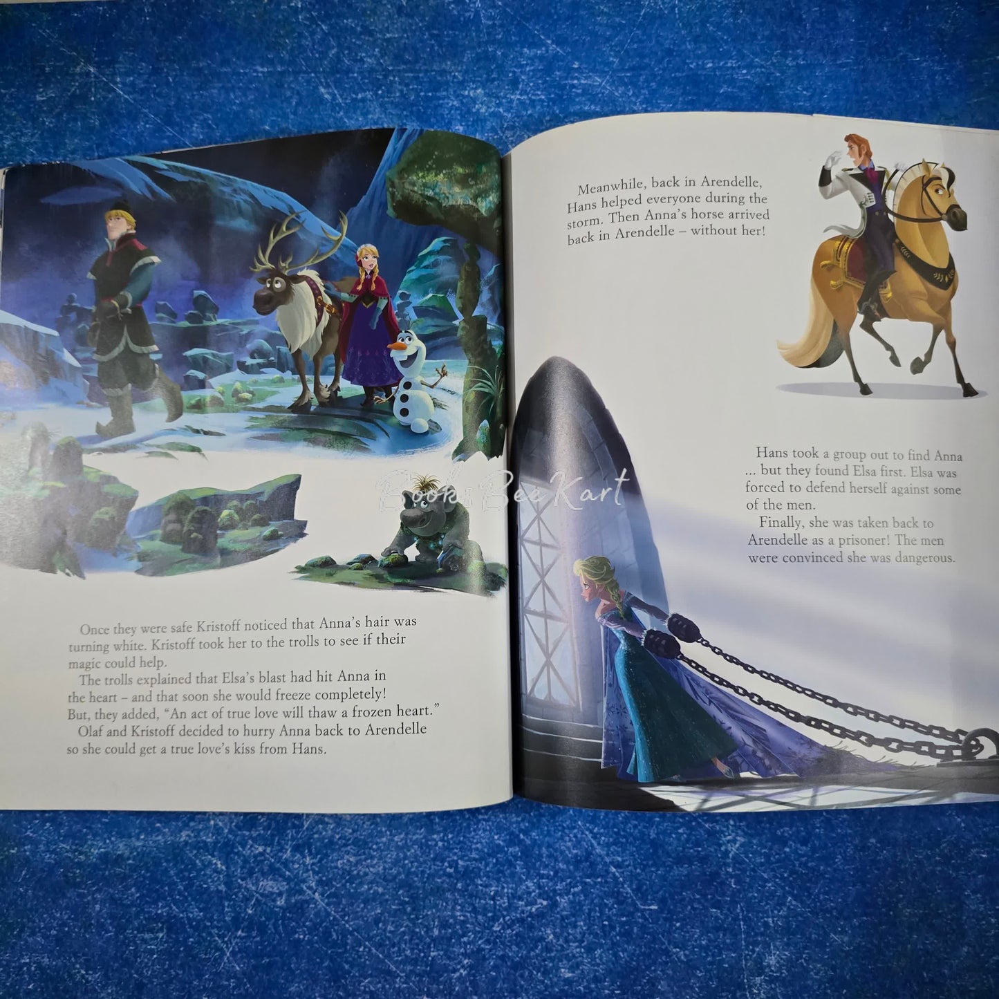 A Frozen Adventure