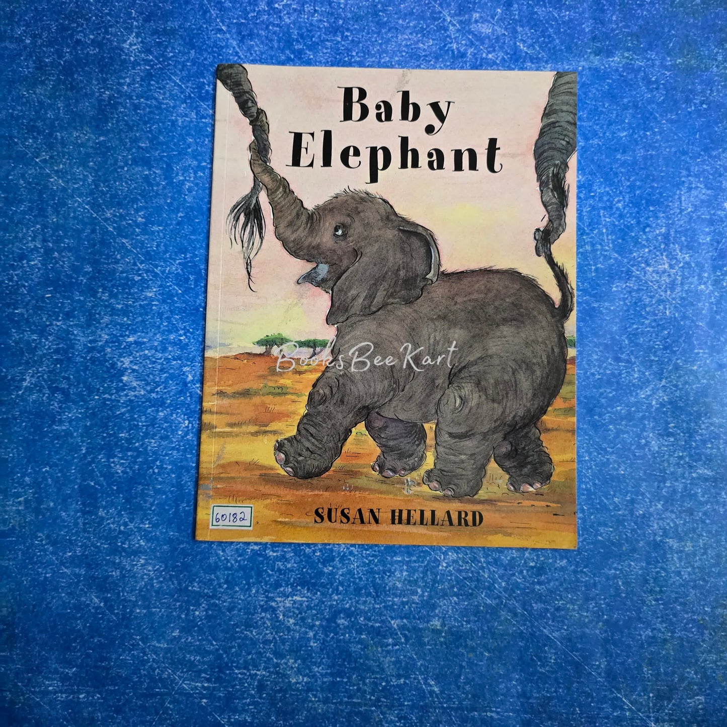 Baby Elephant