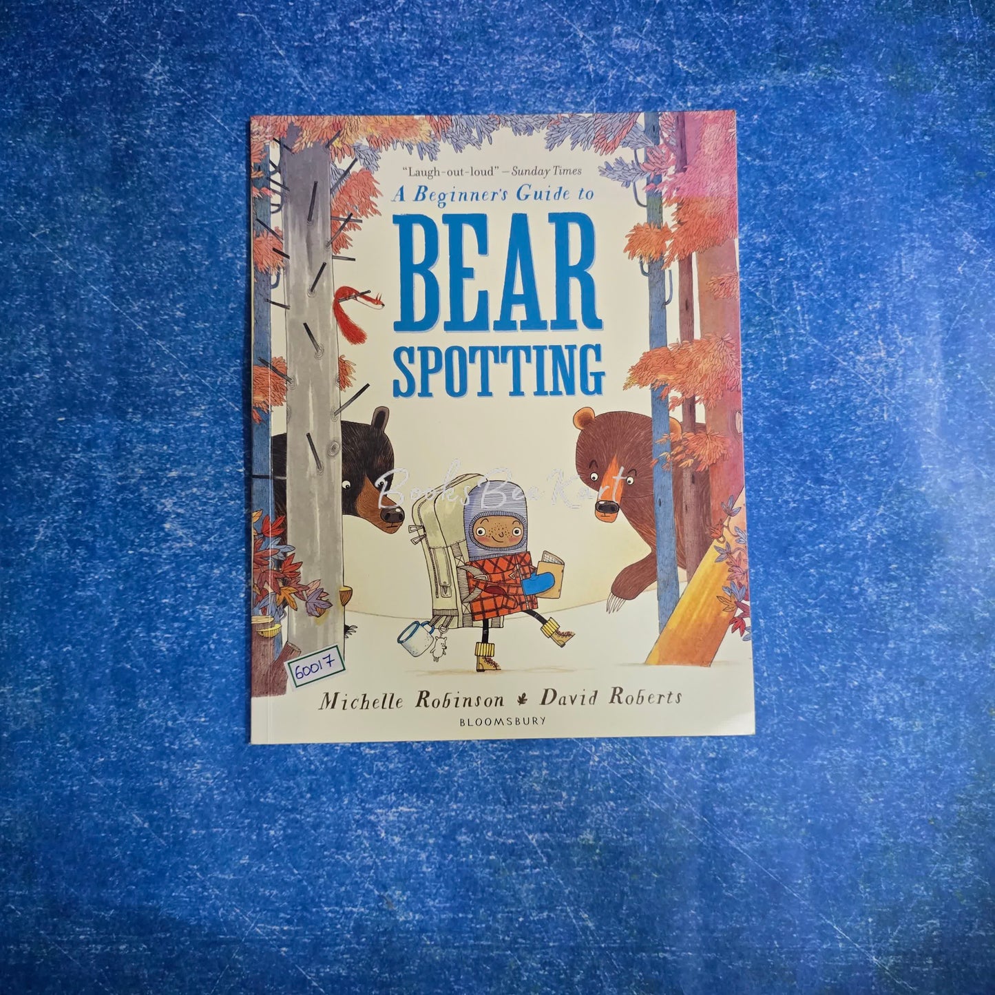 A Beginner's Guide to BEAR Spotting