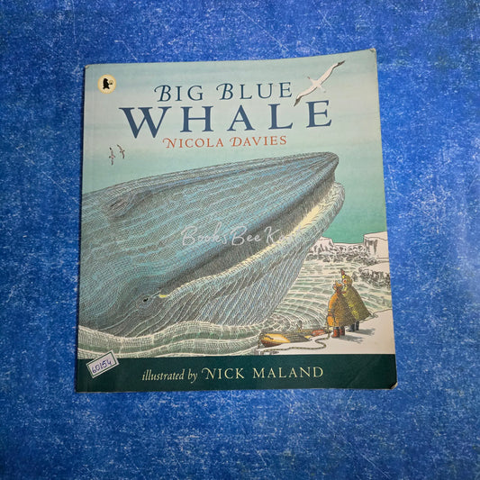 Big Blue Whale nicola davies