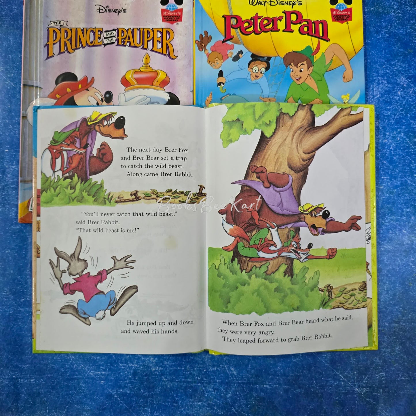 set of 3 books v4