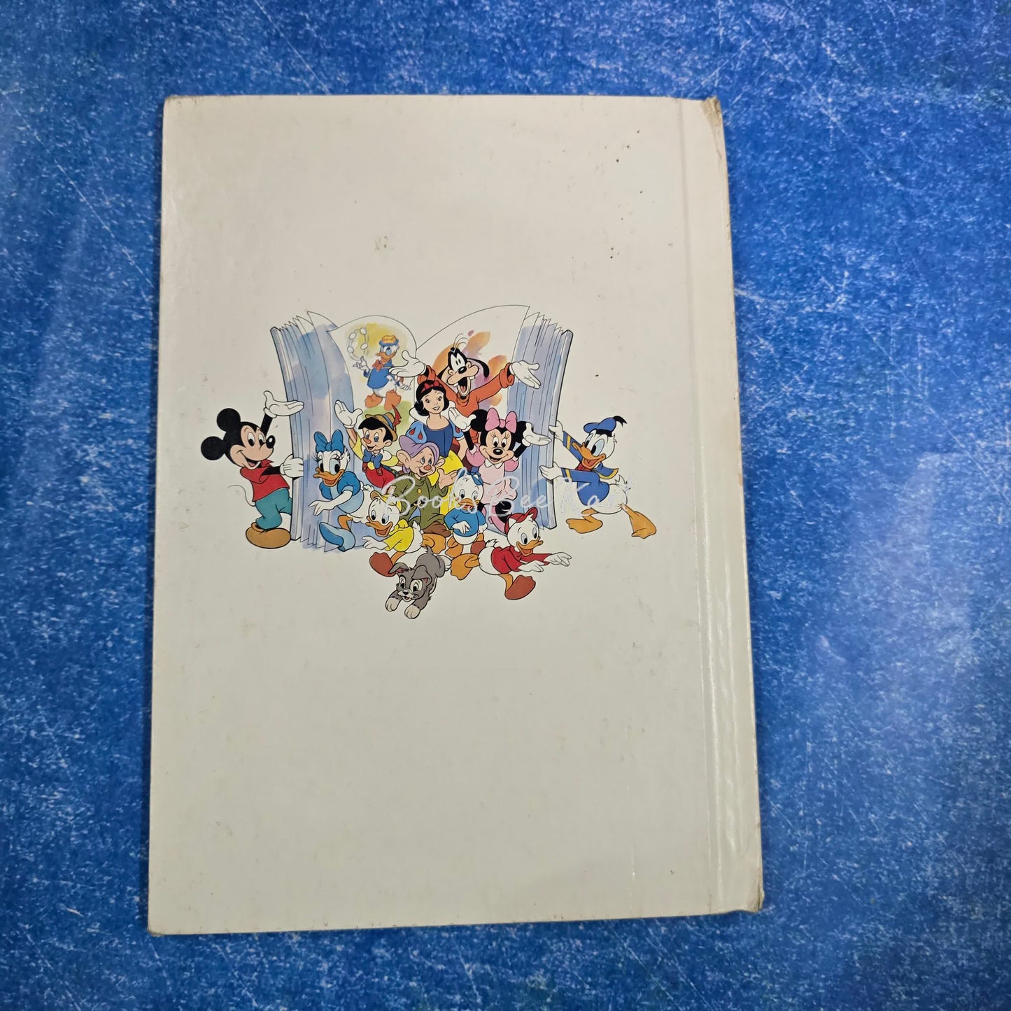 DONALD AND DAISY OUT