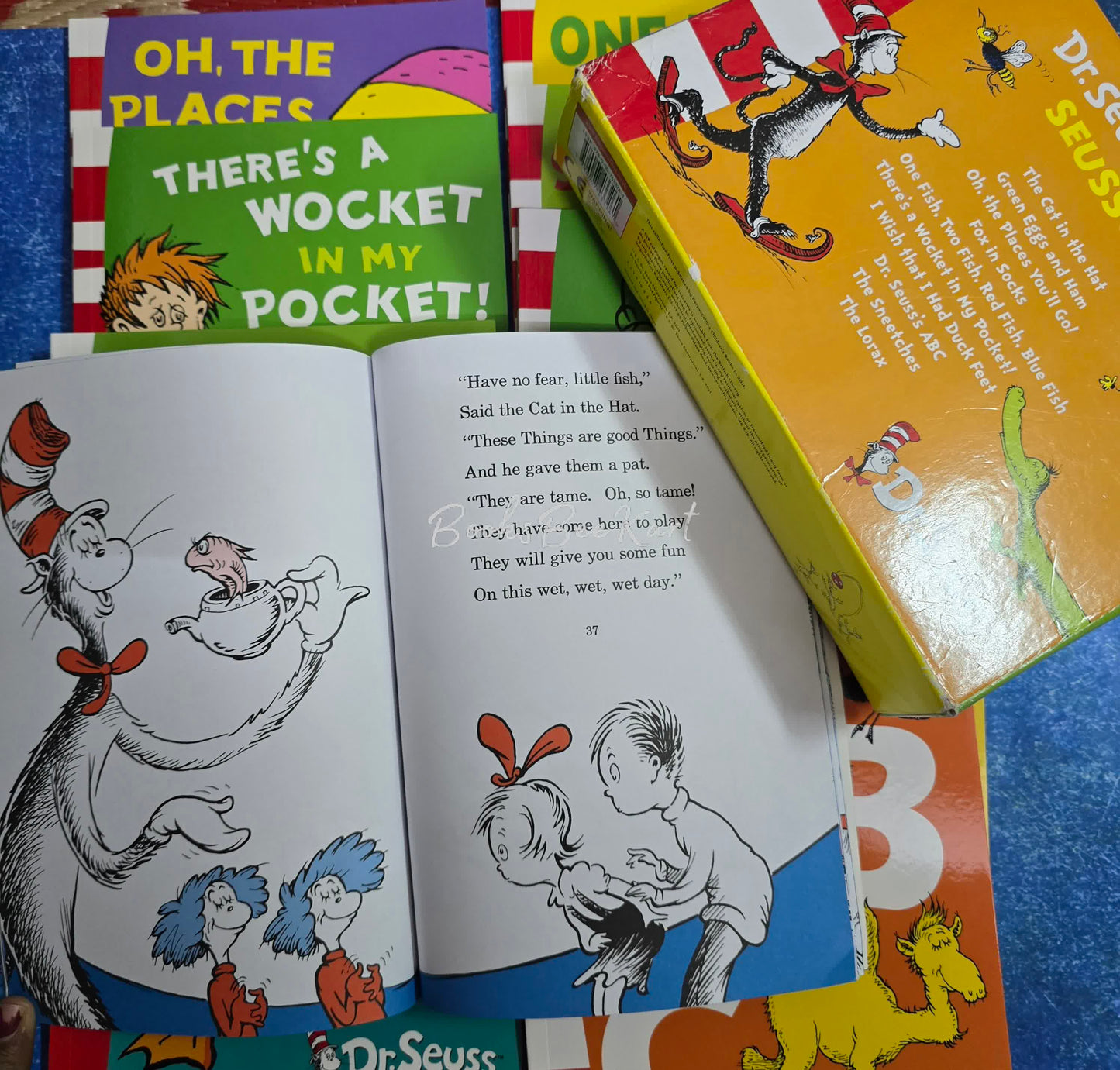 Dr . Seuss's Seusscase