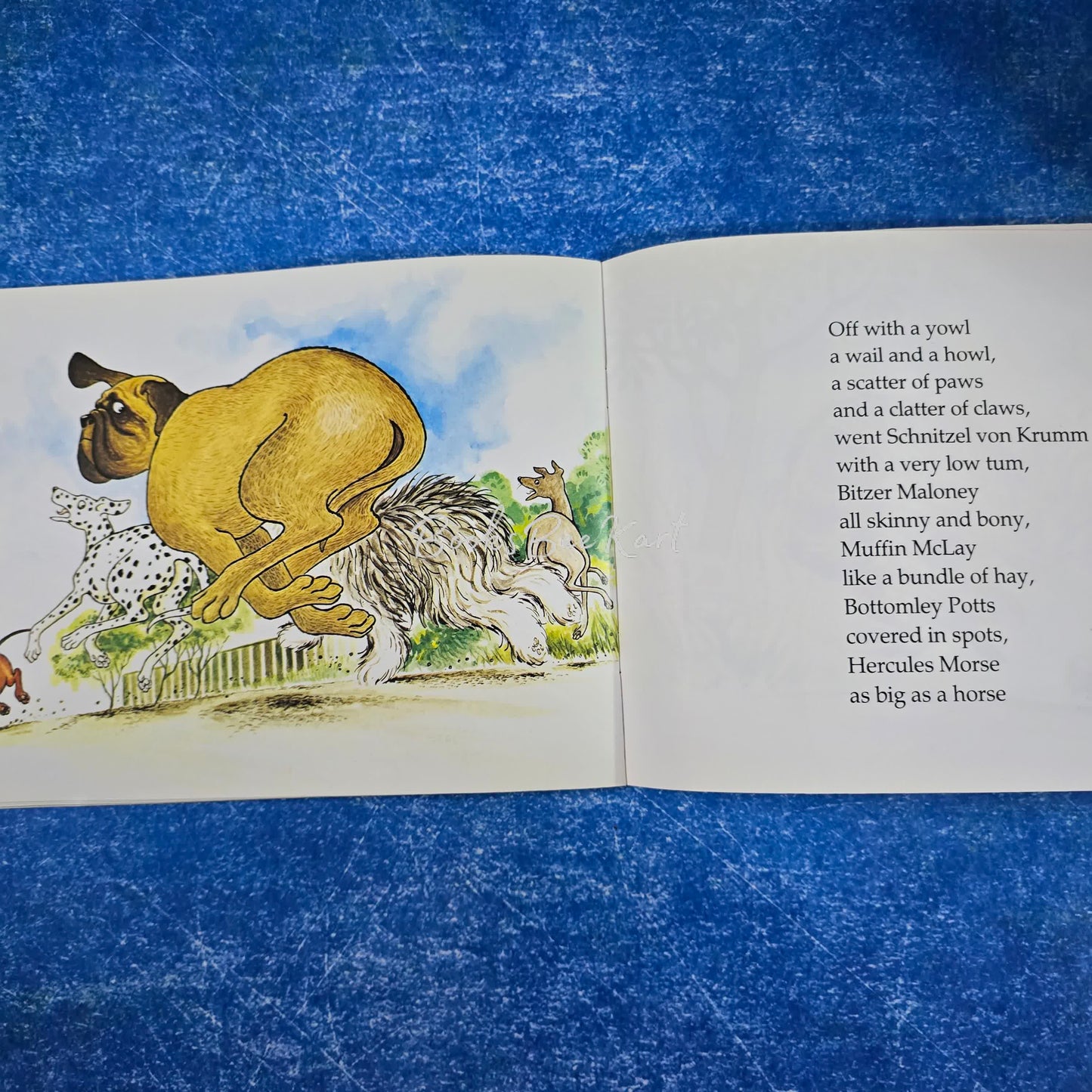 Hairy Maclary From Donaldson's Dairy