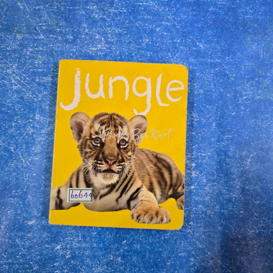 Jungle
