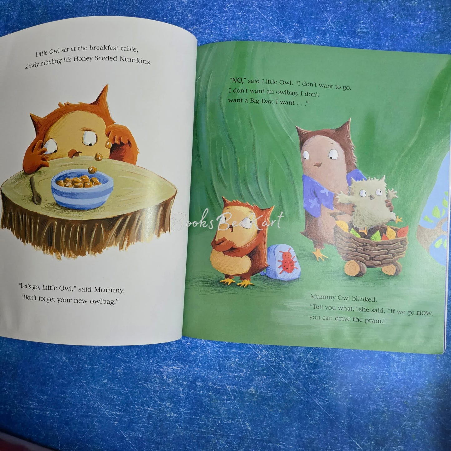 Little Owl's First Day