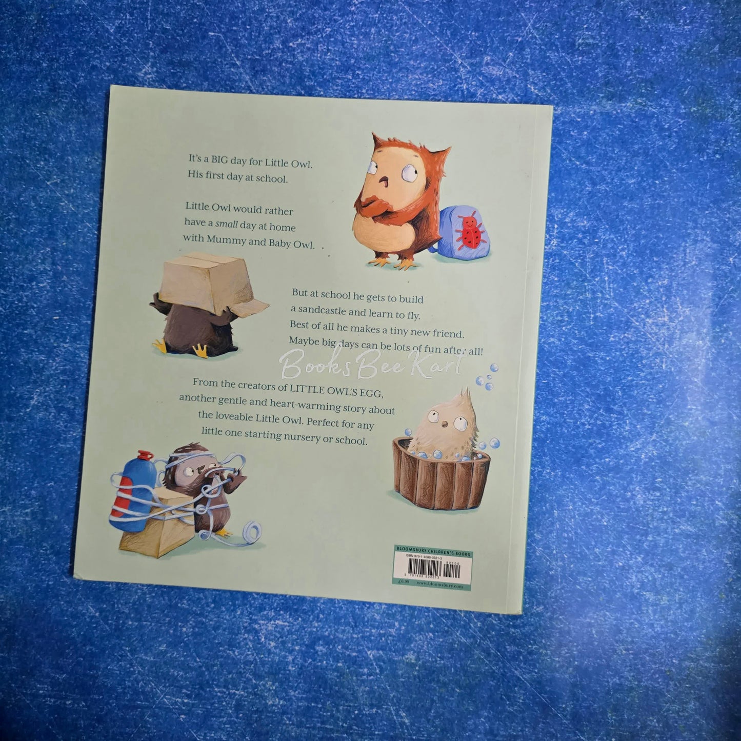 Little Owl's First Day