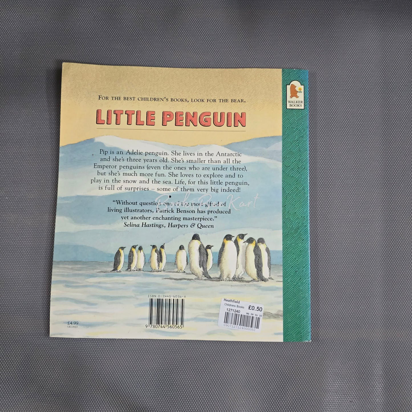 Little Penguin