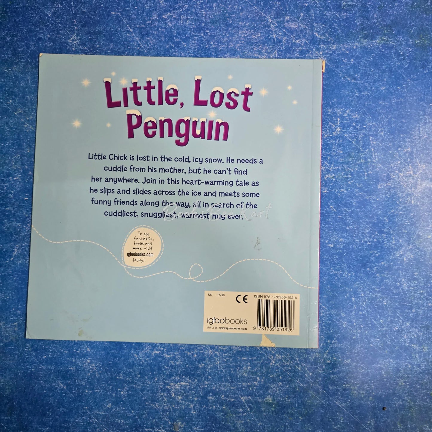 Little , lost penguin