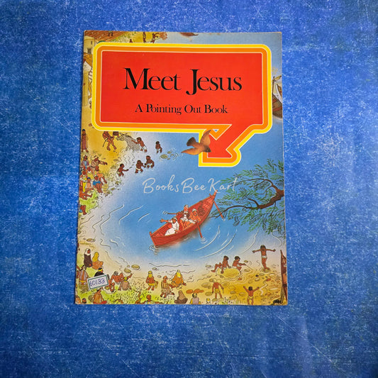 Meet Jesus A pointing out book