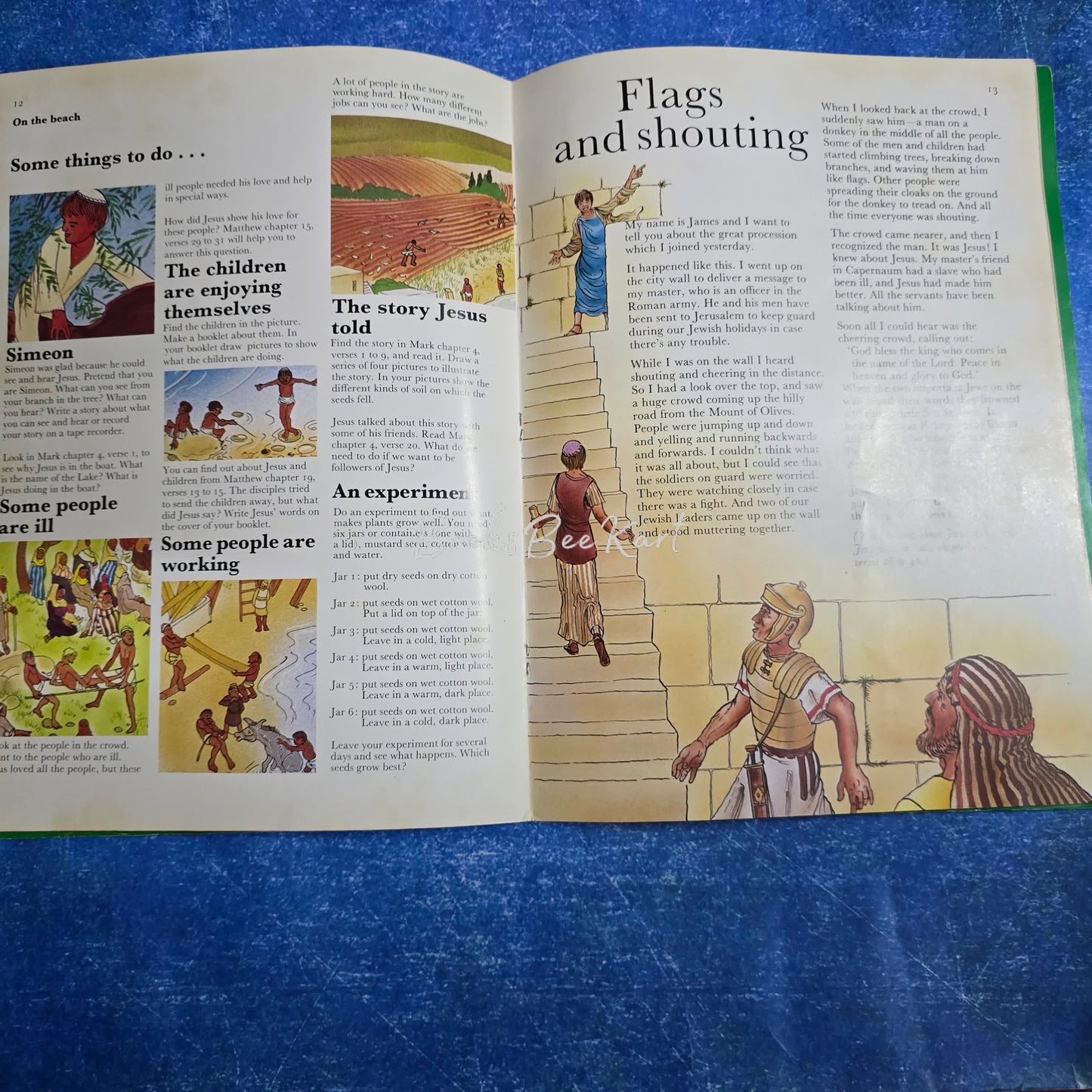 Meet Jesus A pointing out book