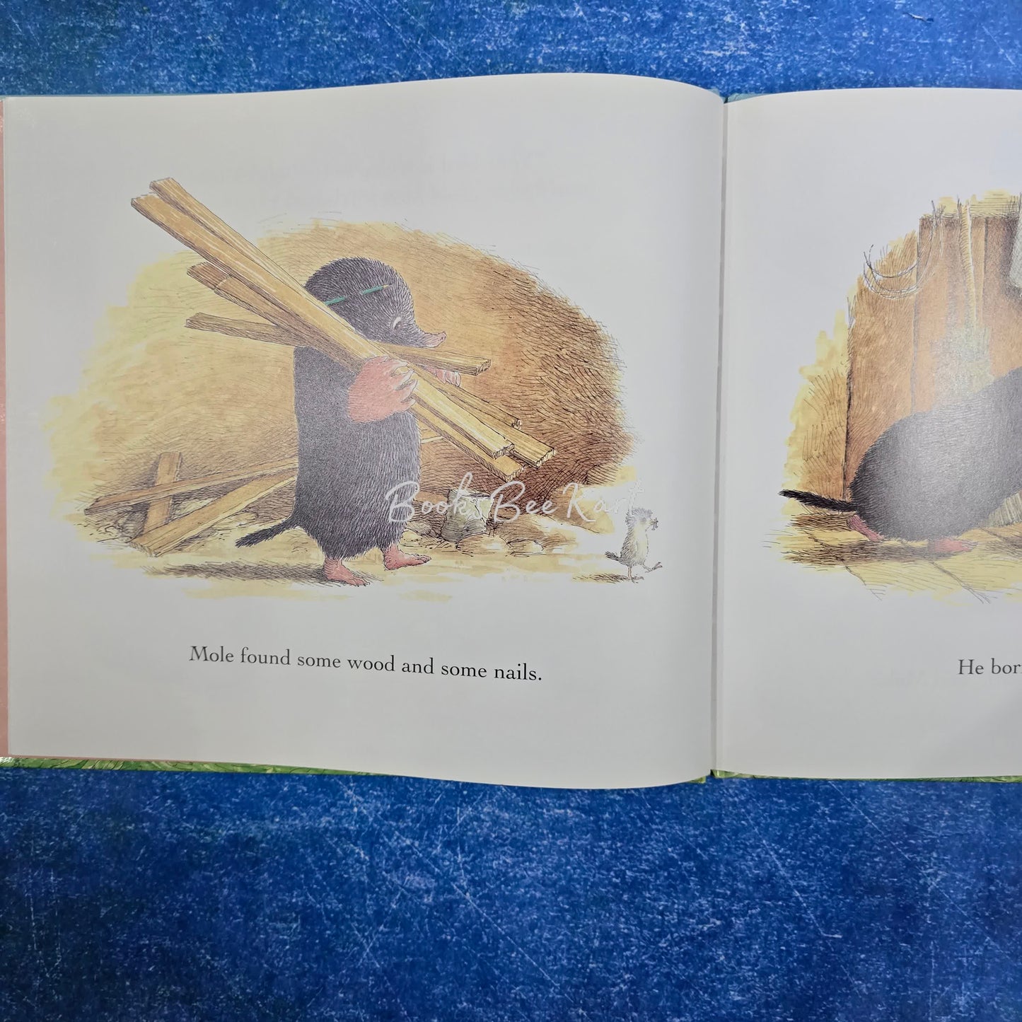 Mole and the baby bird