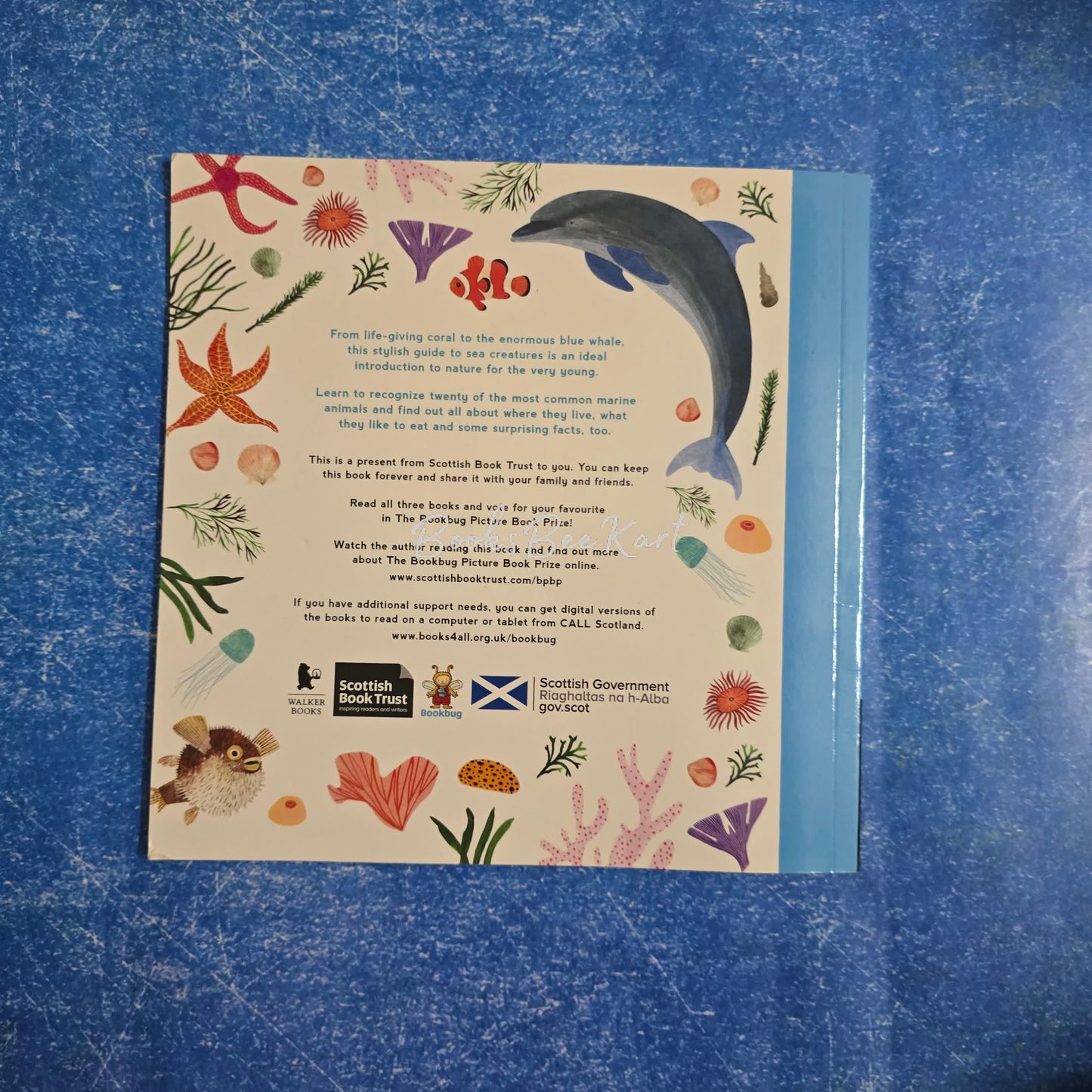 My first Book of Sea Creatures