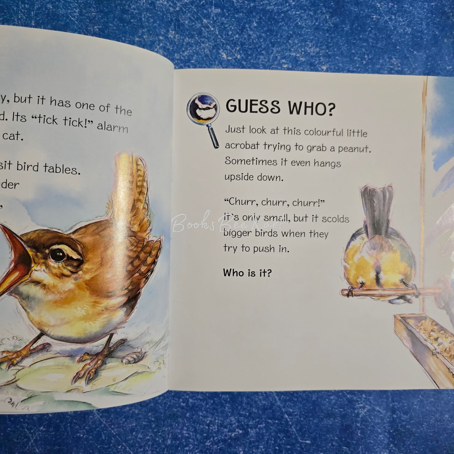 My first book of Garden Birds