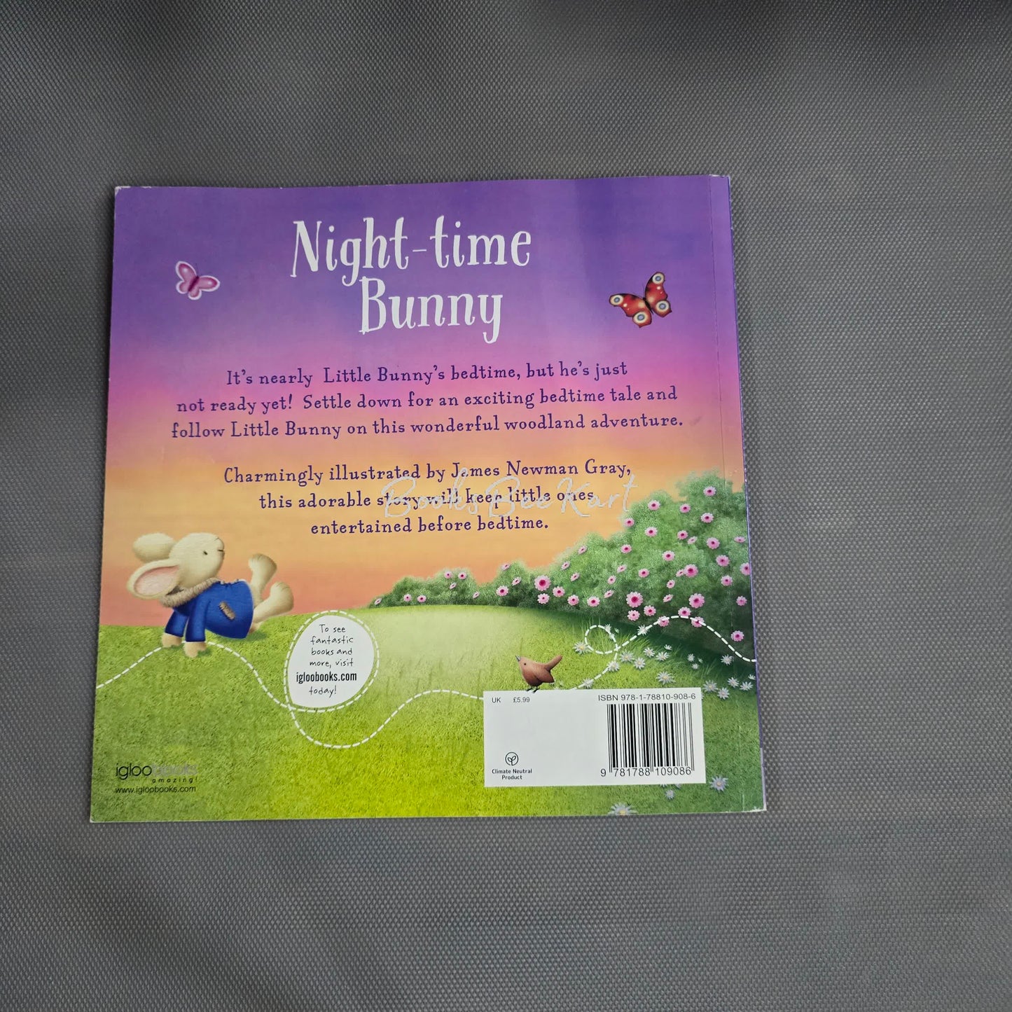 Night Time Bunny