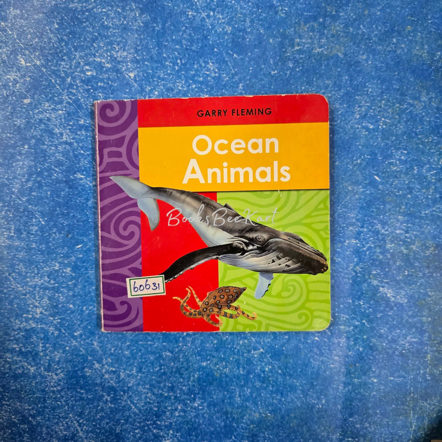 Ocean Animals