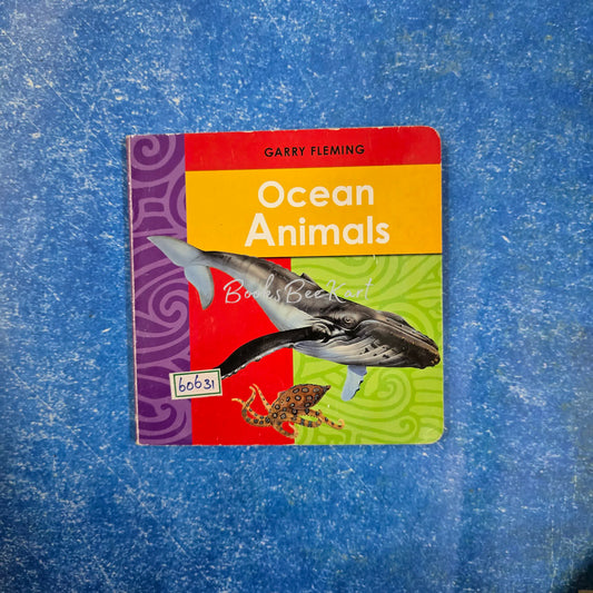 Ocean Animals