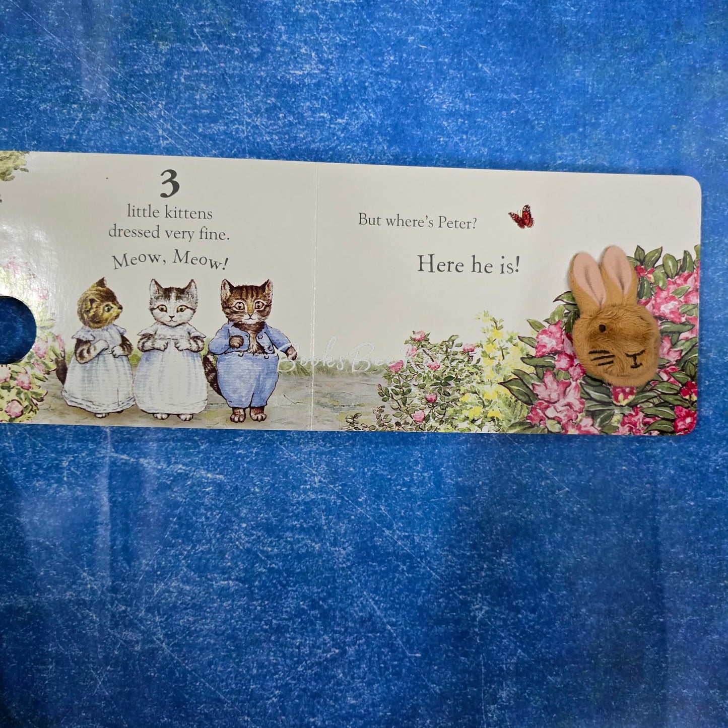 Peter Rabbit