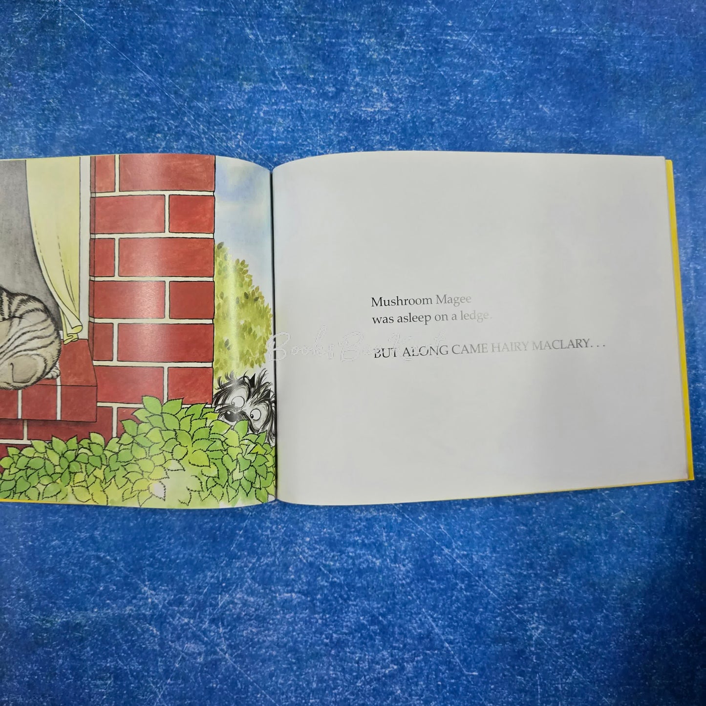 Hary Maclary Scattercat