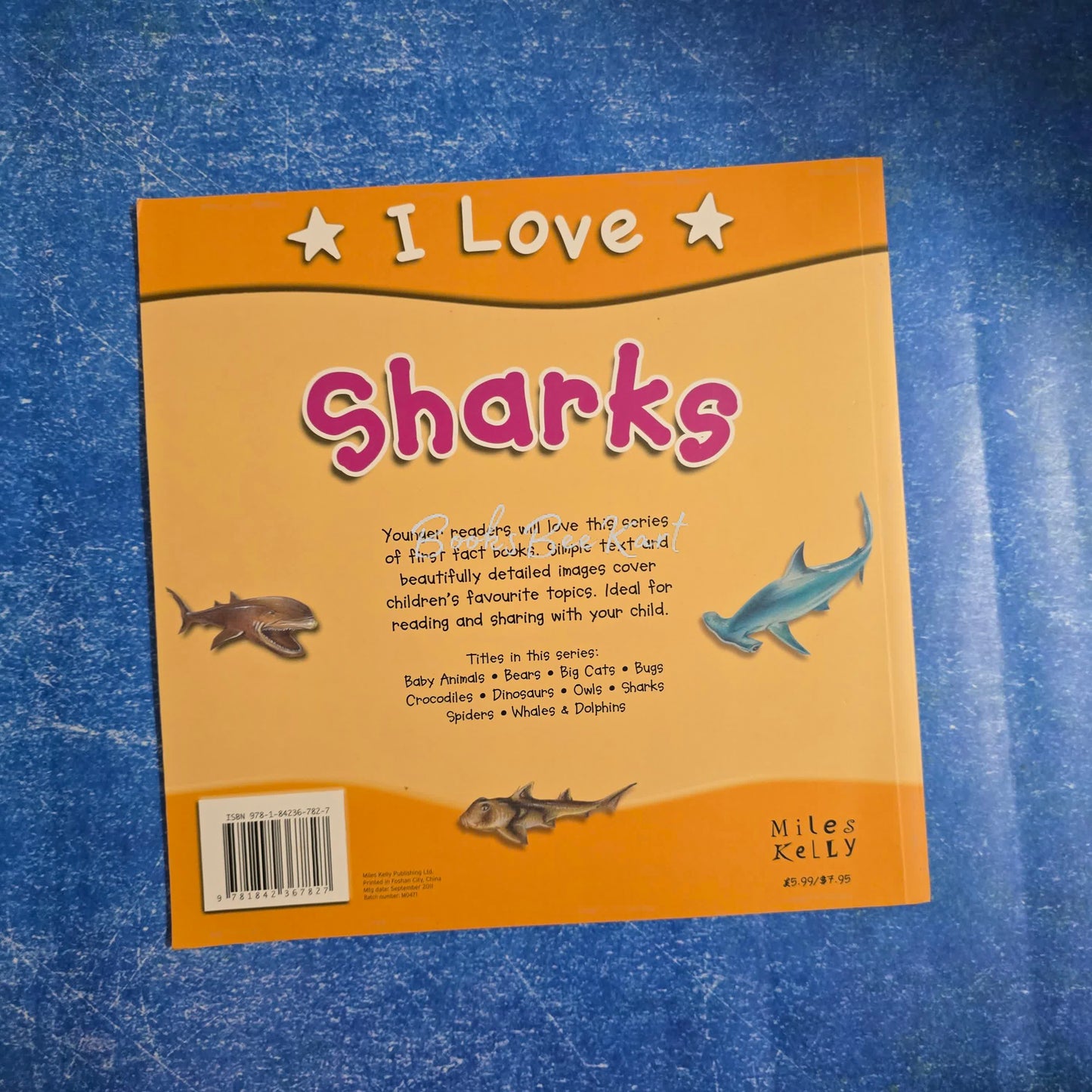I love Sharks
