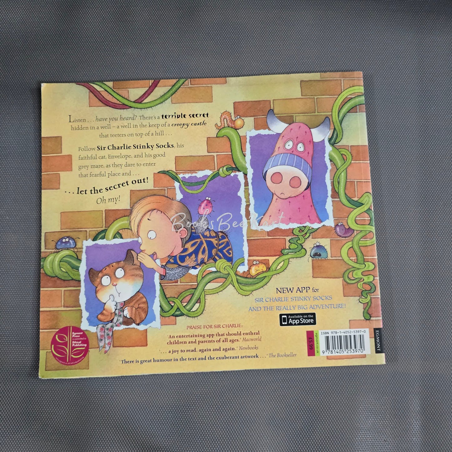 Sir Charlie Stinky Socks and the tale of the Terrible Secret