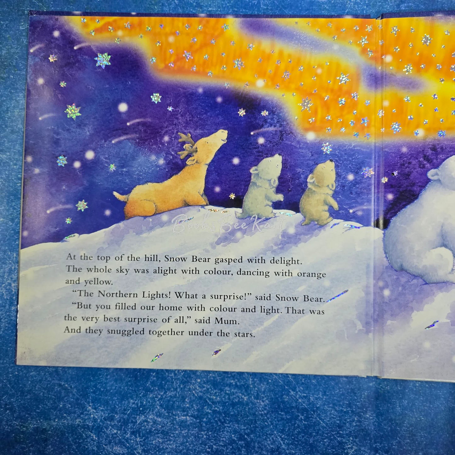 SNOW BEAR'S SURPRISE