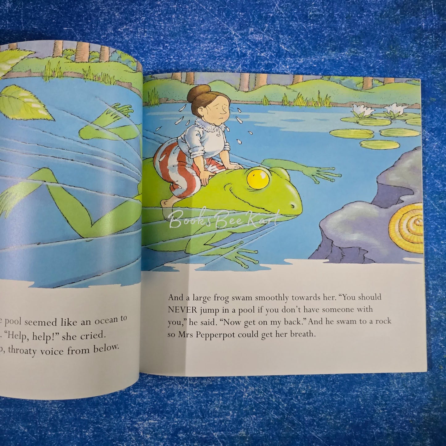 The Adventure of MRS PEPPERPOT