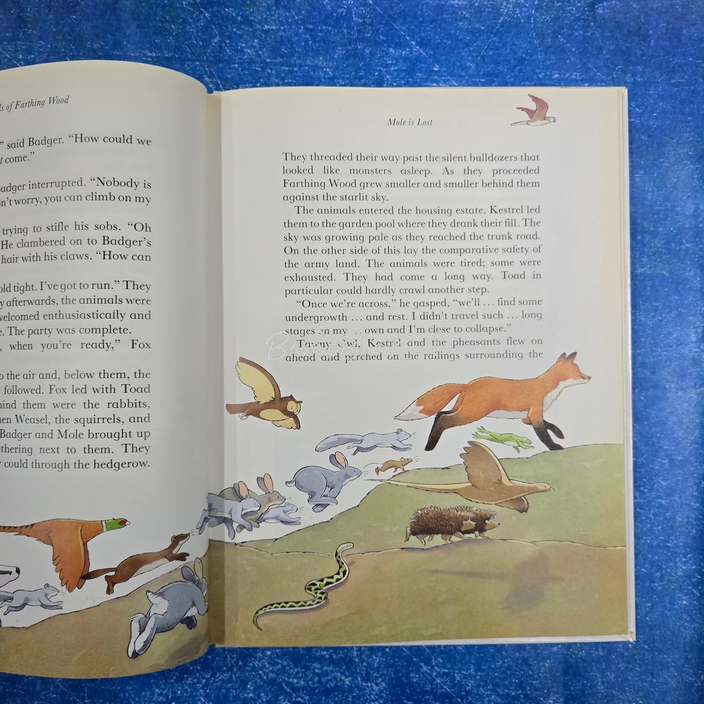 the animals of farthing wood