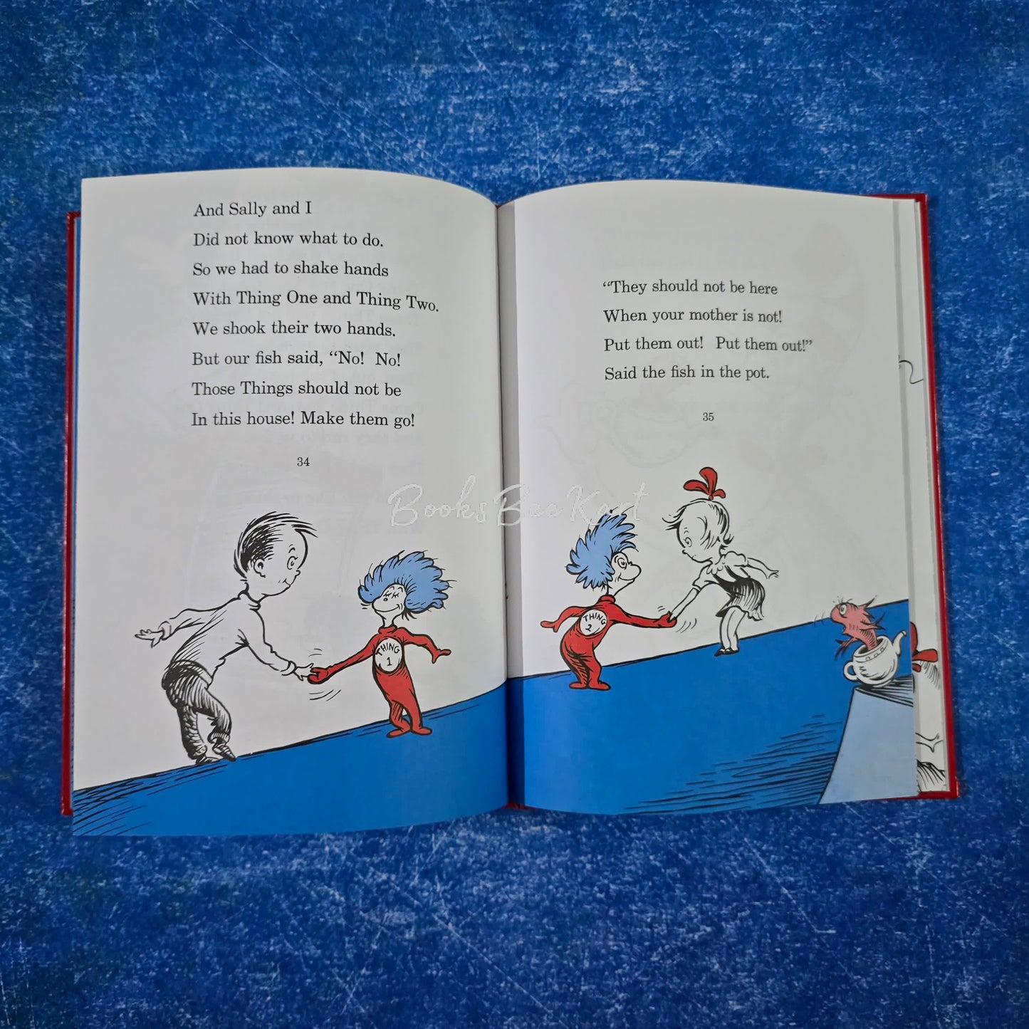 THE CAT IN THE HAT