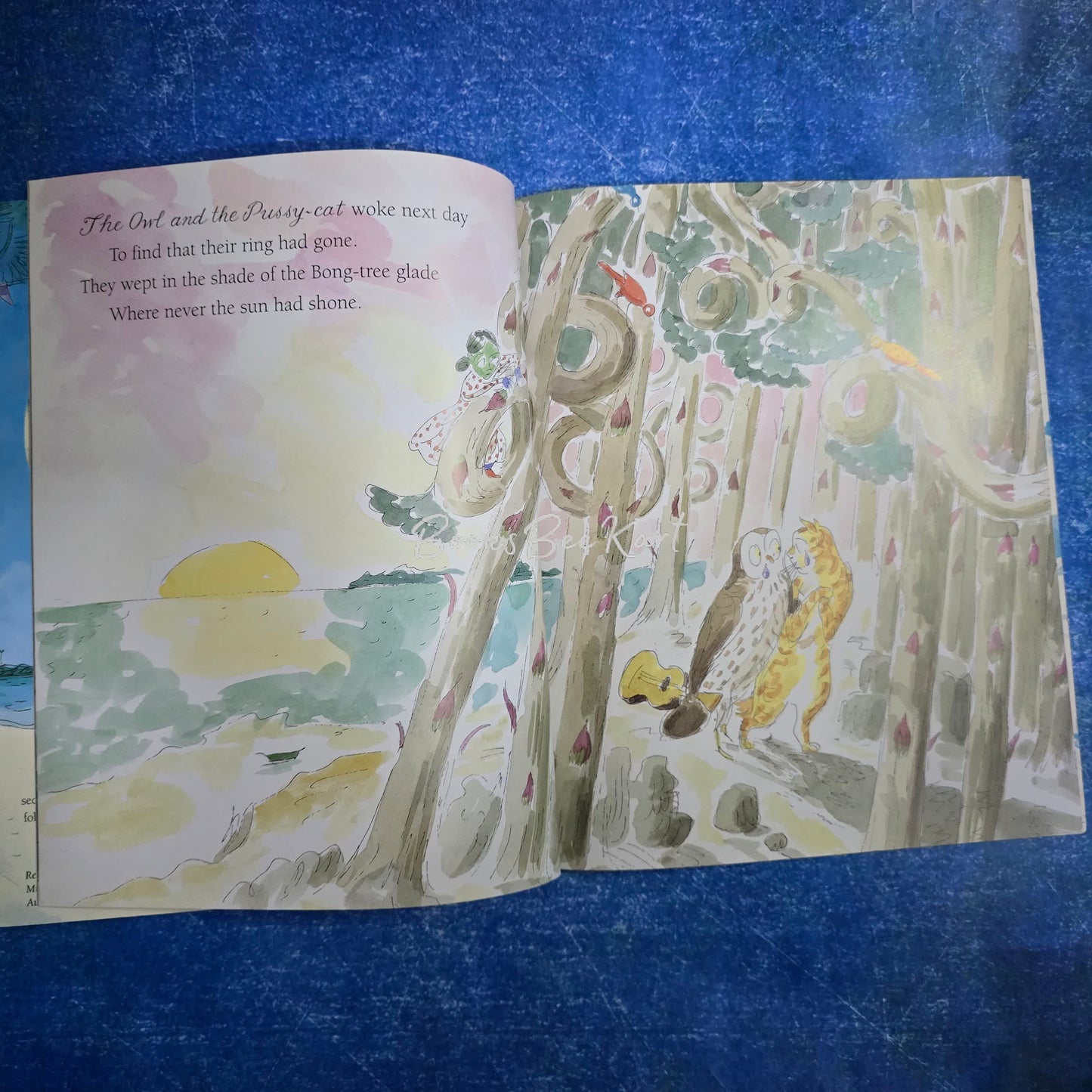 The Further Adventures of the owl and the pussy - cat