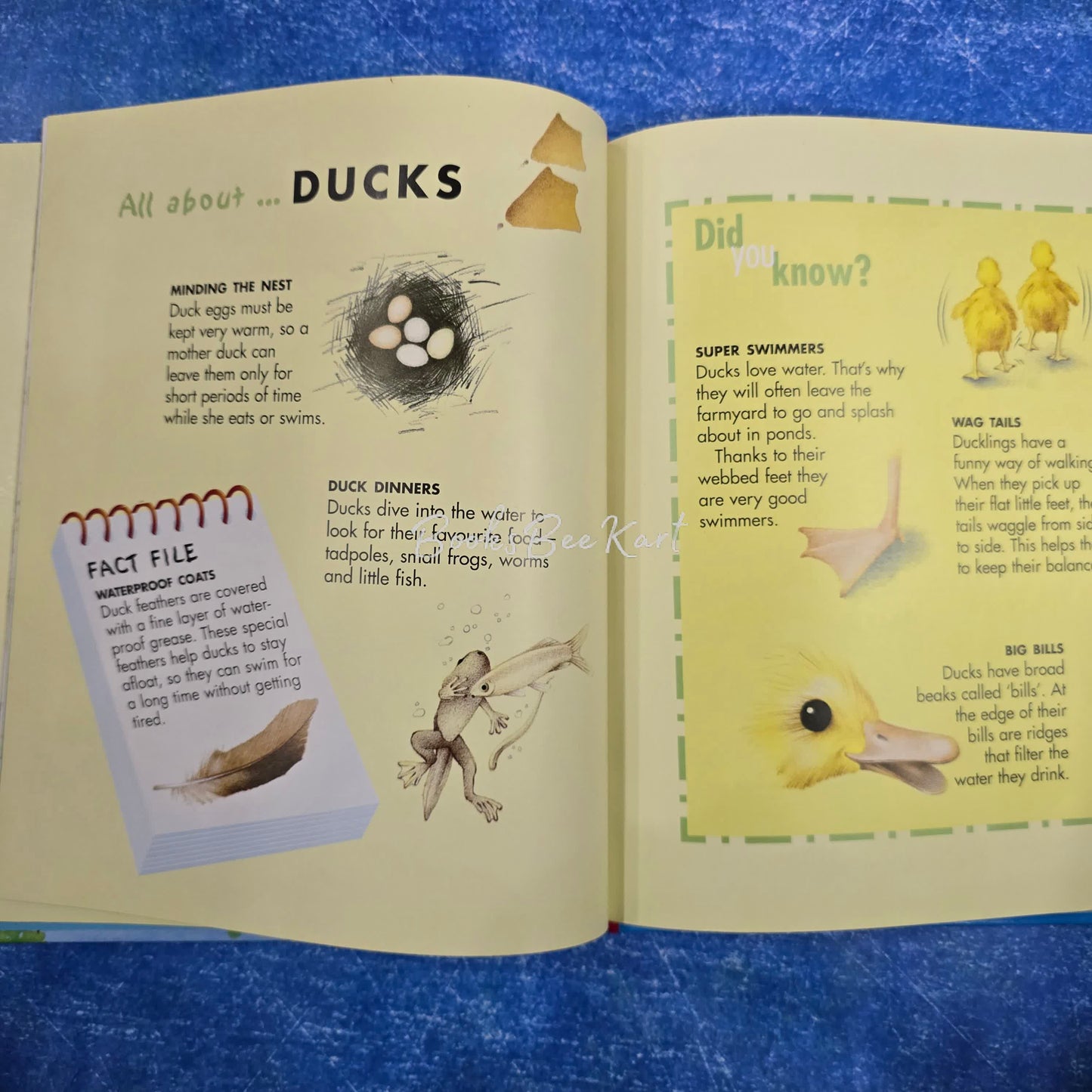 The Hungry Duckling