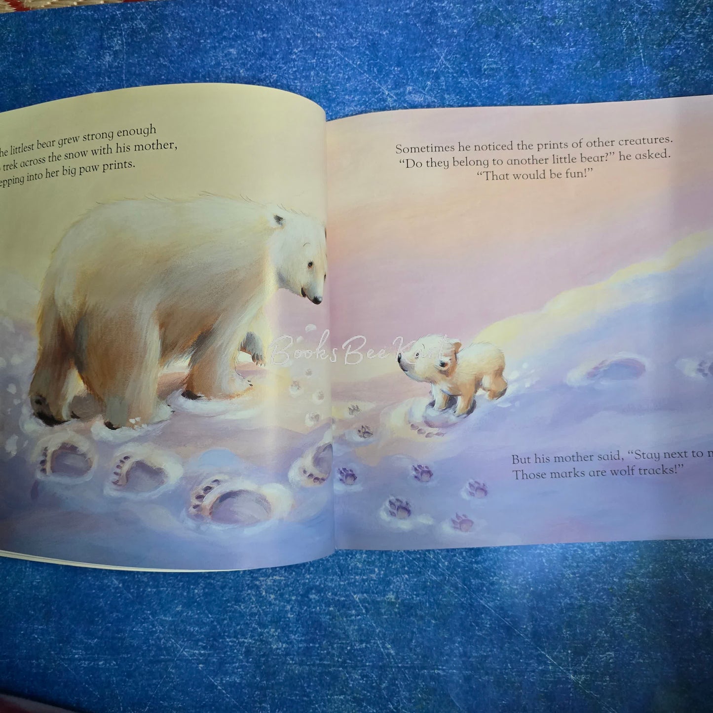 The Little Bear Book