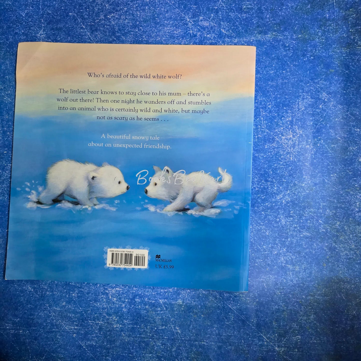 The Little Bear Book