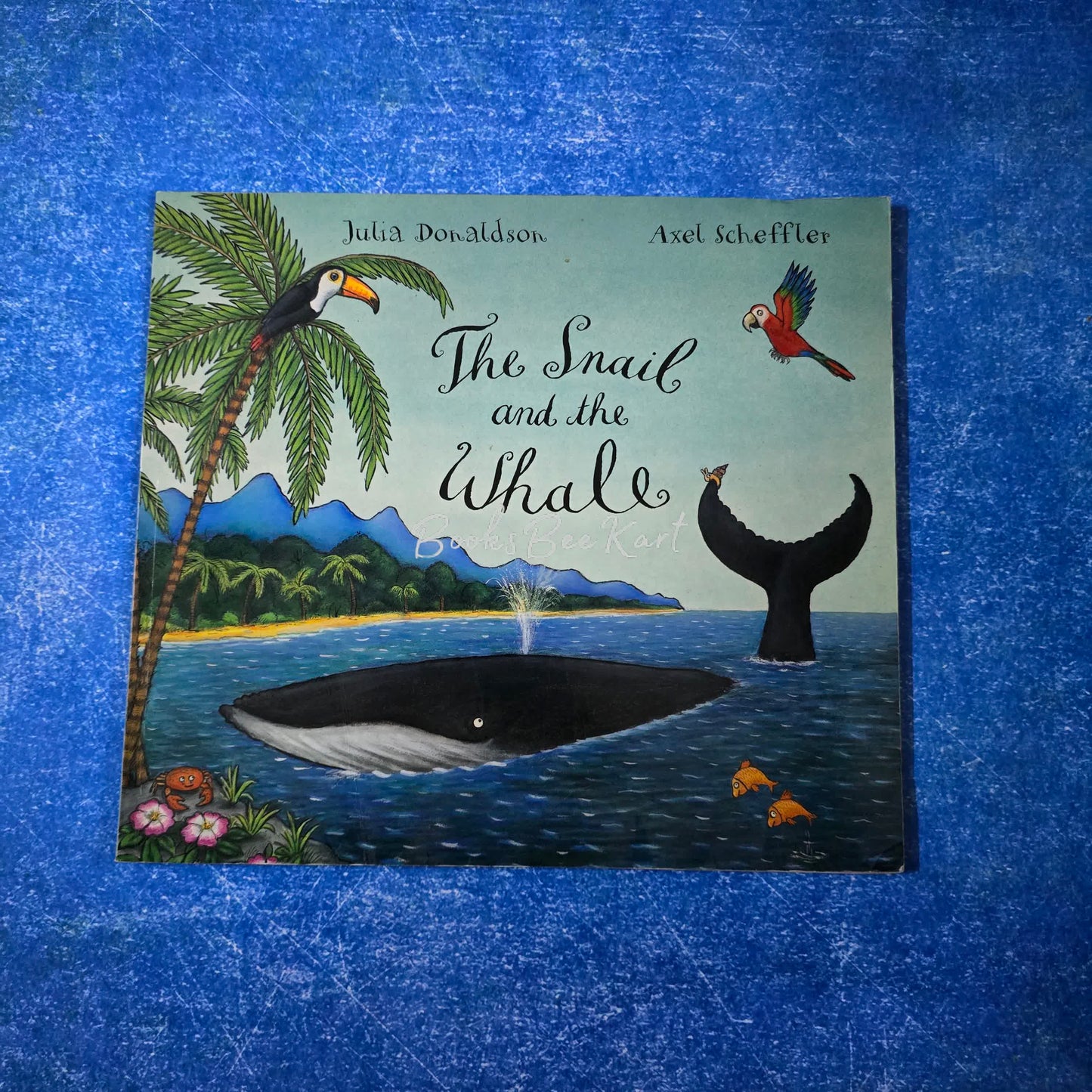 The snail and the Whale