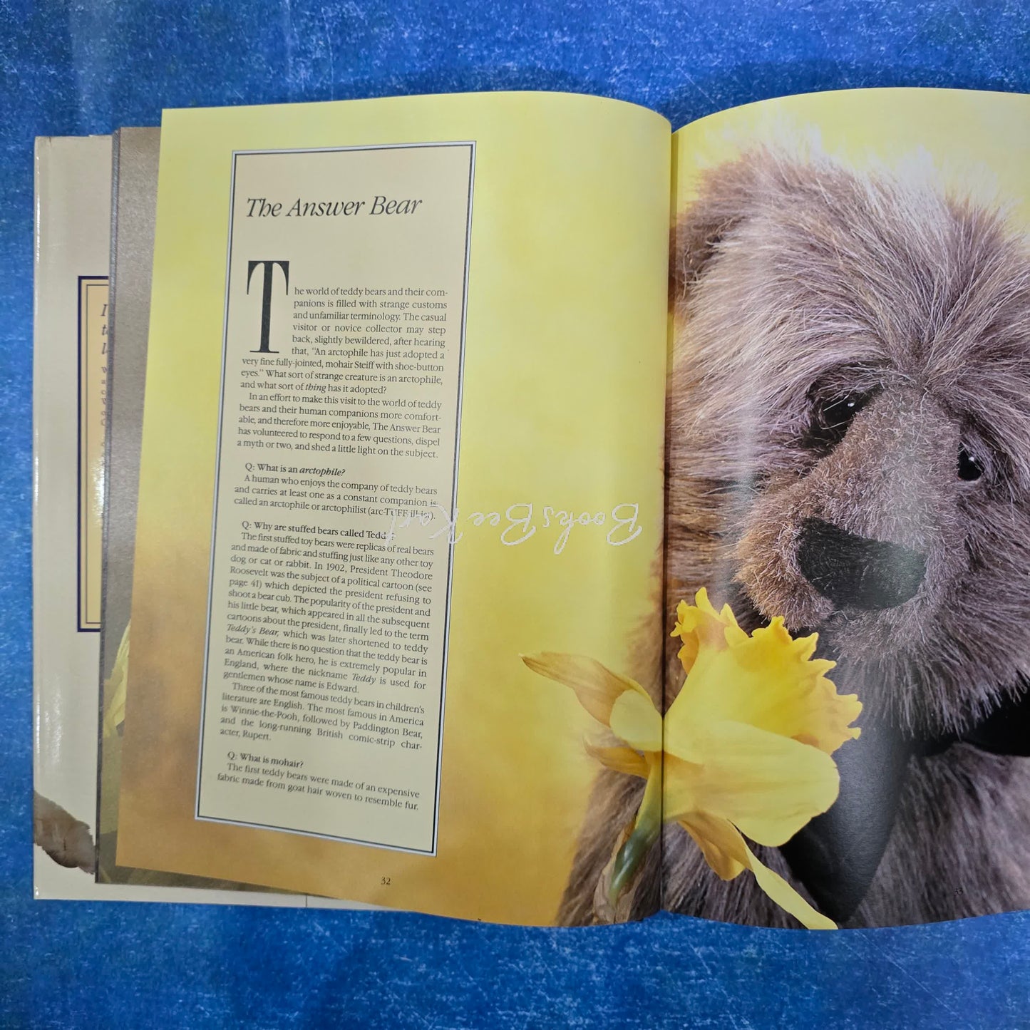 THE Teddy Bear Lover's