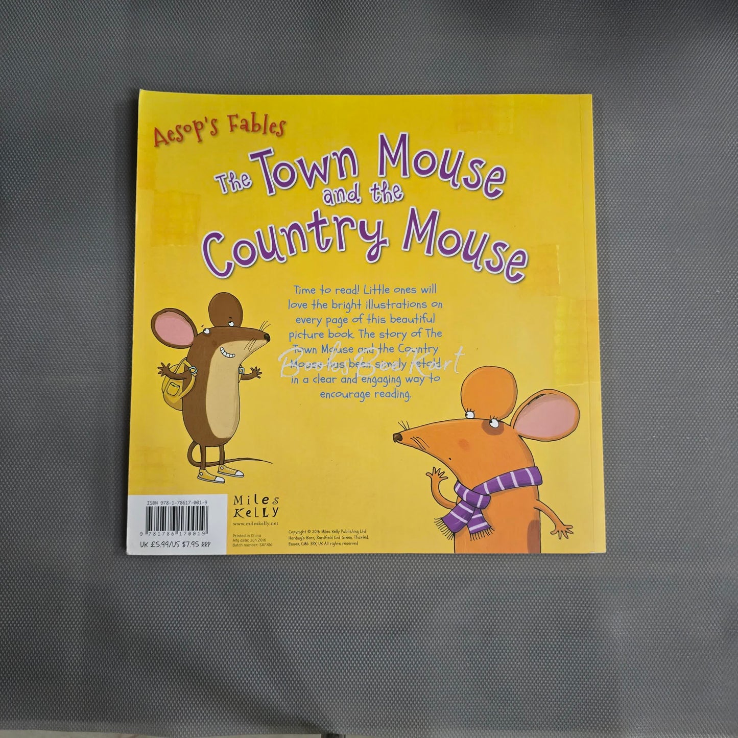 The Town Mouse and the country mouse