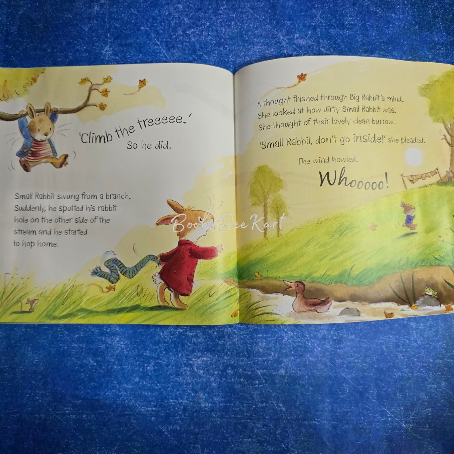 What Small Rabbit heard