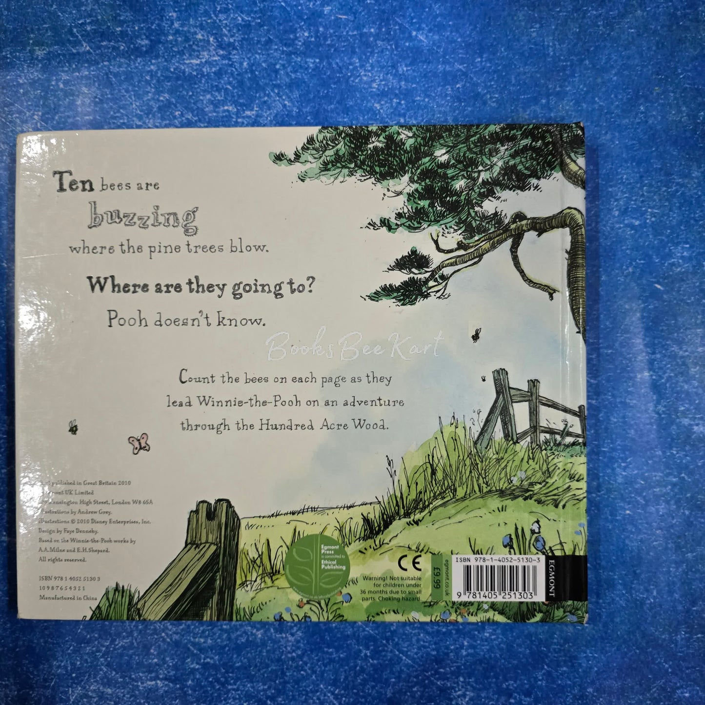 Winnie-the-pooh and the Trouble with Bees