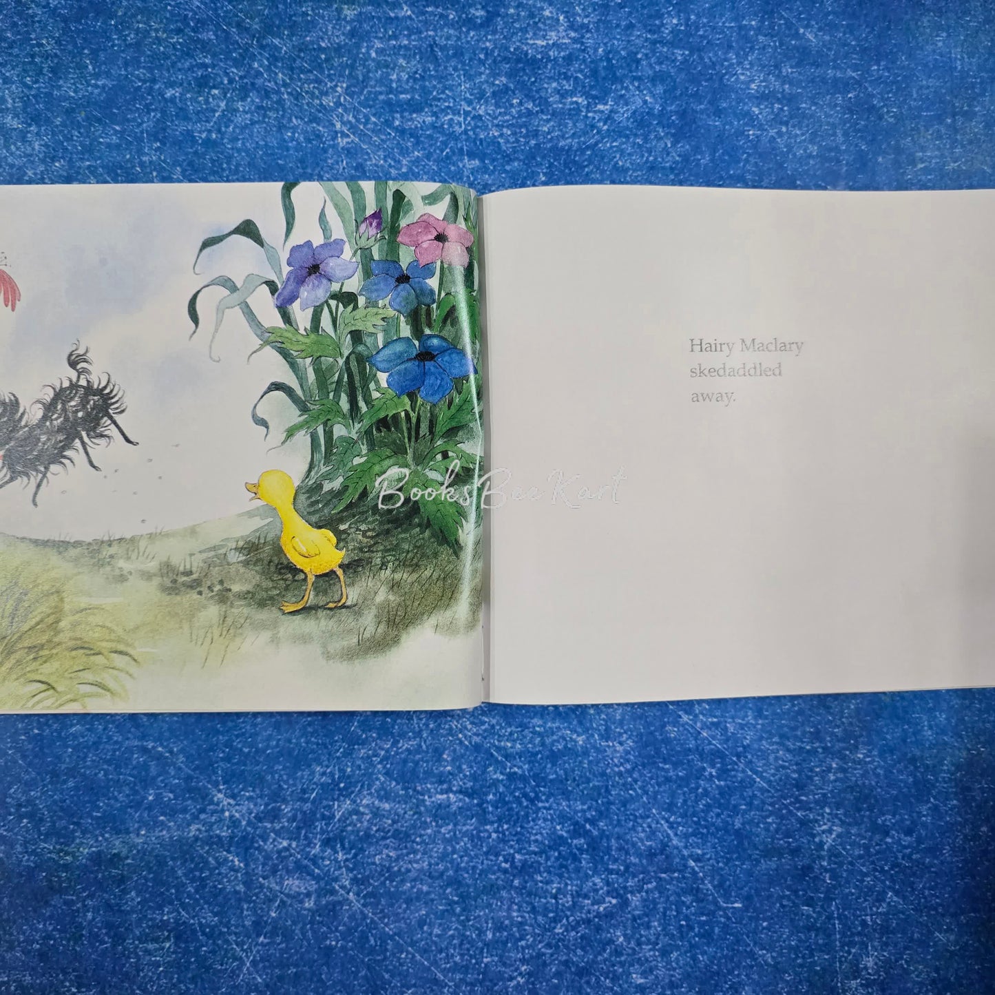 Hairy Maclary Zachary Quack