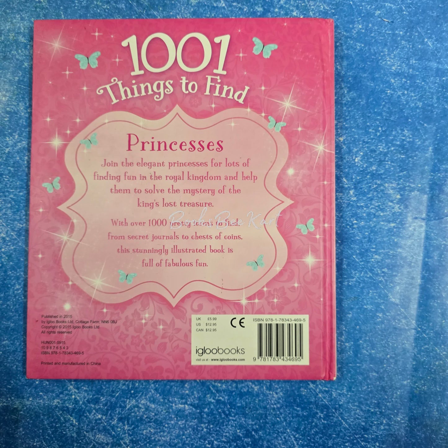 1001 Things to find princess