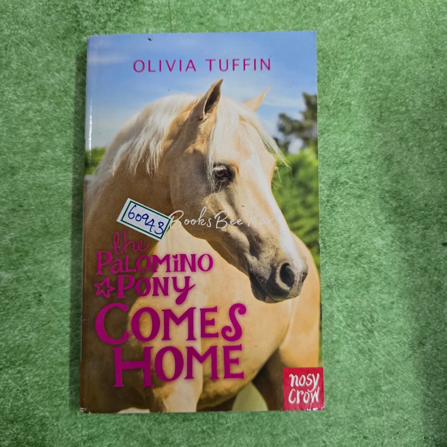 the PaloMiNo Pony COMES HOME