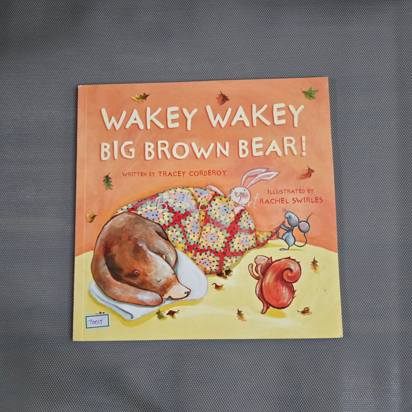 Wakey Wakey Big Brown Bear