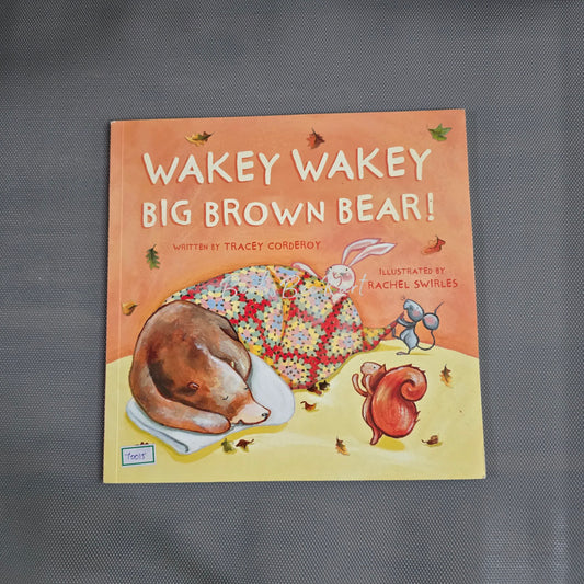 Wakey Wakey Big Brown Bear