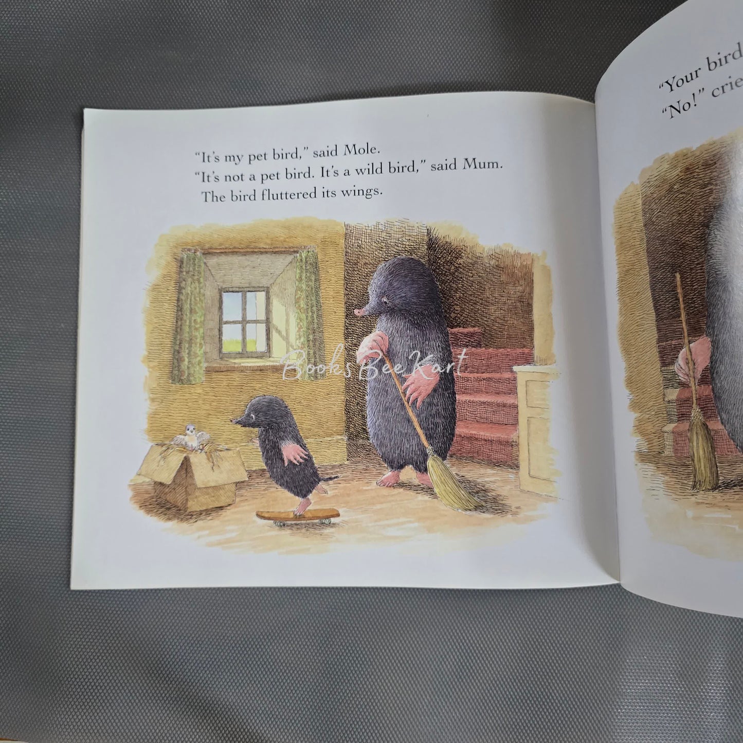 Mole and the baby bird