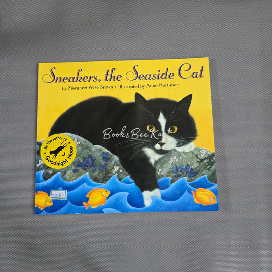 Sneakers,the seaside cat